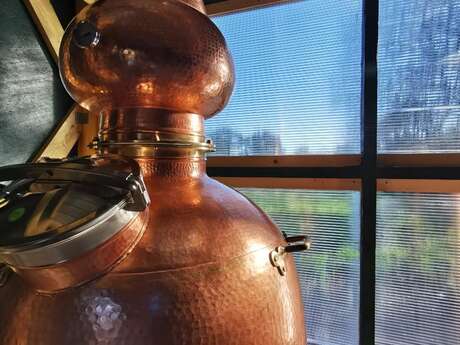 Visite et dégustation de Mammen distillerie