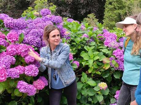 Histoires d'hortensia | Les dimanches Hortensias