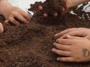 Les mains dans la terre