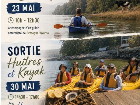 Balade en kayak et dégustation d'huîtres
