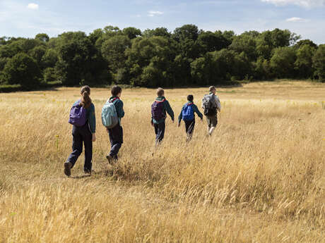 Fête de la langue bretonne - Balade nature en breton