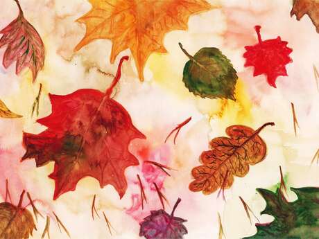 Empreinte végétale