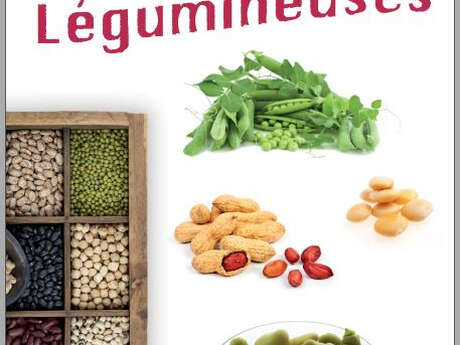 Exposition "Les légumineuses"