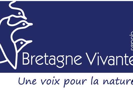 Sortie nature : petites bêtes de l'estran