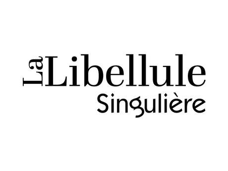 La Libellule singulière - Brocante