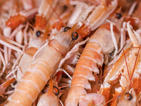 La maison de l'alimentation itinérante - Décortiquage de langoustines