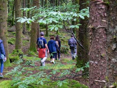 Mini rando en forêt de Saint-Maurice