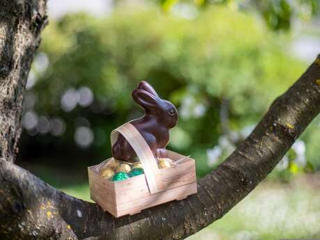 Chasse aux oeufs et autres activités !