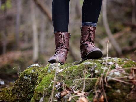 Rando-course nature - Les boucles de Lorette