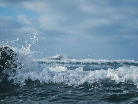 Championnat de France de Waveski