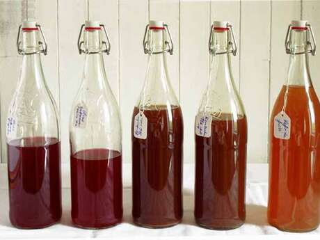 Atelier Boissons Fermentées