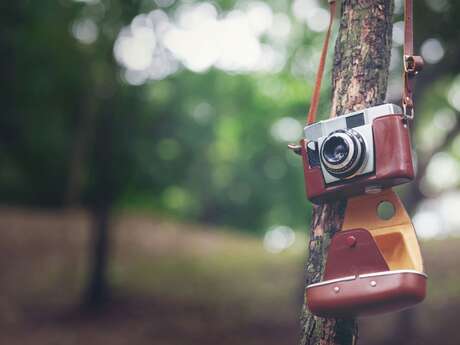 Concours photo - Le Polar et la Mer