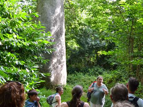 Balade au pays des Pierres debout