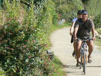 Location de Vélos - Camping Manoir de Penn Ar Ster