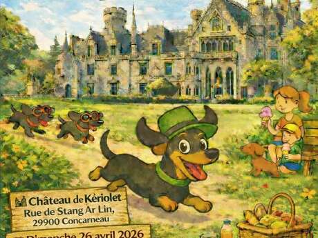 Rassemblement de teckels en folie