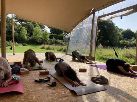 Cours de Yin Yoga