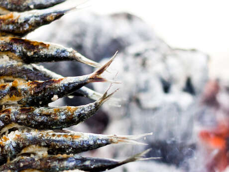 Souper marin - Feu d'artifice