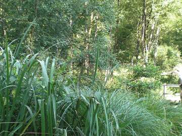 Vallée humide du Bois Ainaux