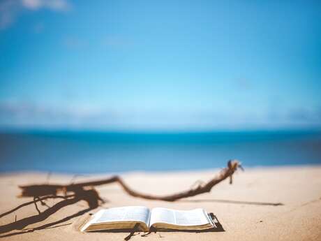 Lectures à la plage