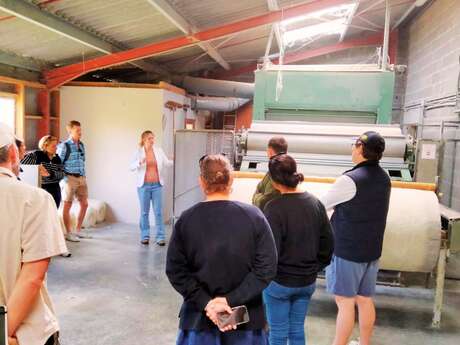 Visite d'entreprise : Laine et Compagnie