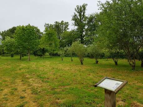 Arboretum de la Bussière