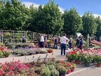 Marché aux fleurs