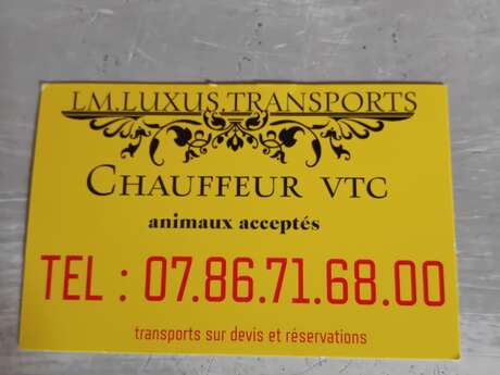 LM.LUXUS.TRANSPORTS