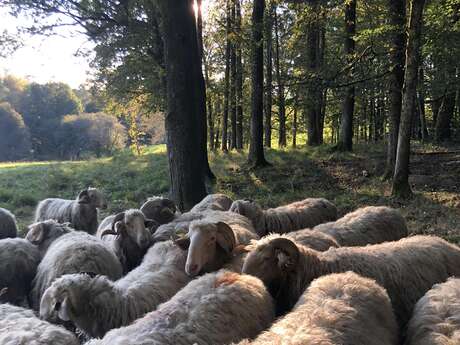 La Ferme de Ventadour