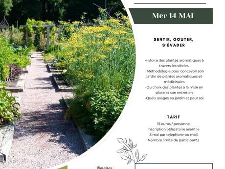 Atelier créer un jardin de plantes aromatiques et médicinales