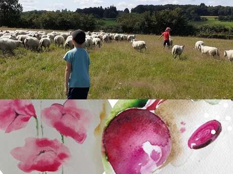 Journée Nature et Sophrologie
