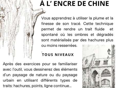 Stage dessin-peinture : Dessiner à la Plume & à l’Encre de Chine par Floriane VIRGO