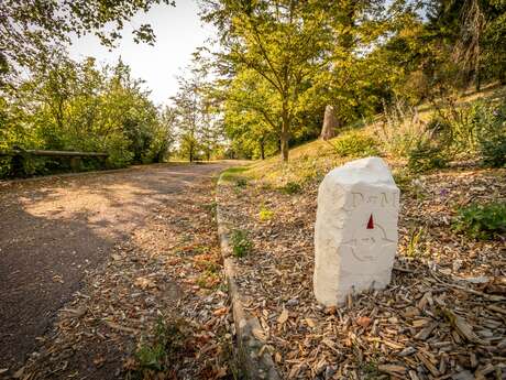 Le Chemin de Ligugé : Saint-Martin