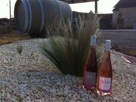 Domaine de la Neuraye
