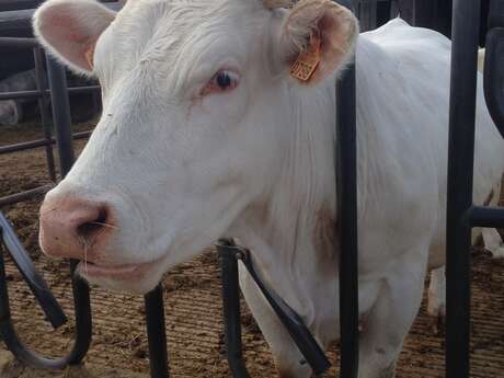 La Ferme de Bonneuil