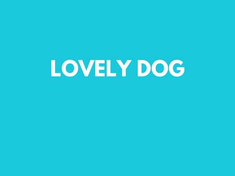 Lovely dog
