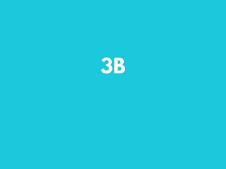 3 B