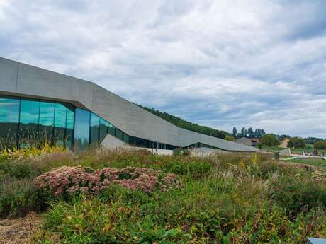 Rencontre-dédicace avec Sophie Marvaud