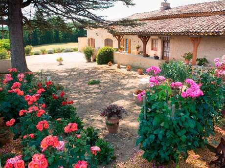 Les gites de la Vaysse la maison