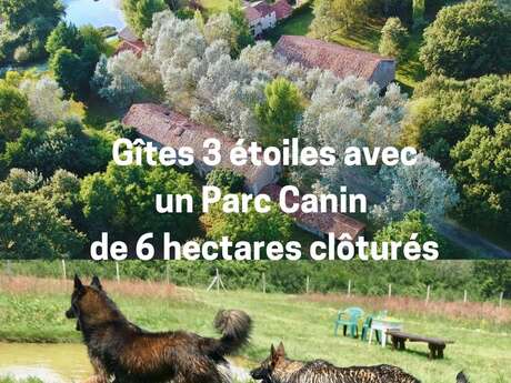 Gîte TiBarny du Parc Canin de la Rebertière