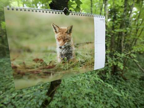 Vernissage exposition