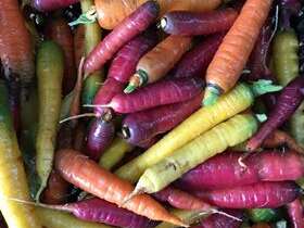 Les Paniers Sauvages