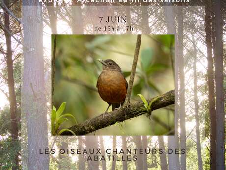 Visite guidée 12 mois/12 : Les oiseaux chanteurs des Abatilles