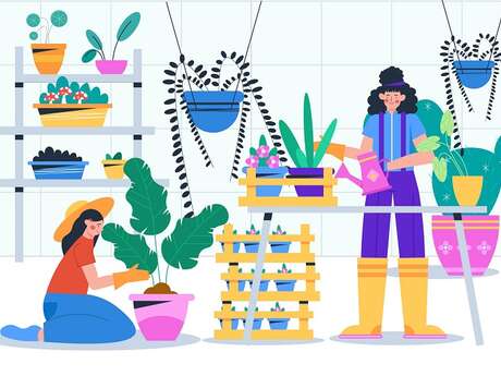 Terre en vert : Troc de plantes