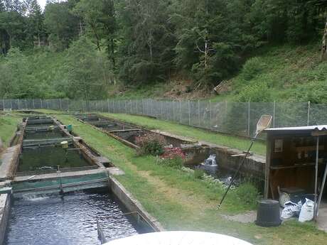 Pisciculture du Moulin de Grandsaigne