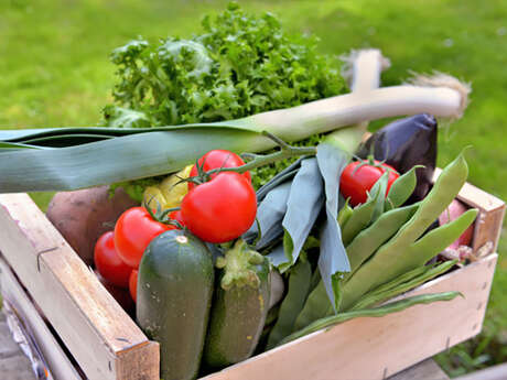 Verdures, légumes bio du Plateau