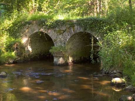 Le Pont de la Naute