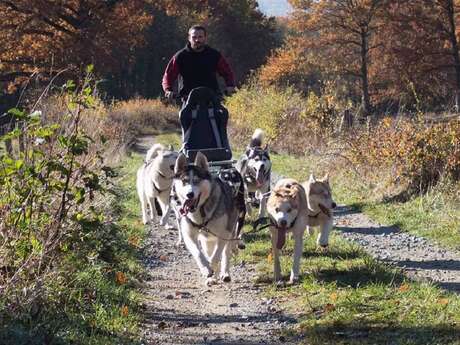 Husk'in Creuse : Cani Kart