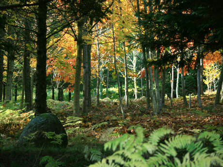 Arboretum de la Fôt