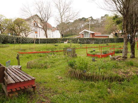 Atelier Jardin Partagé des 4 saisons