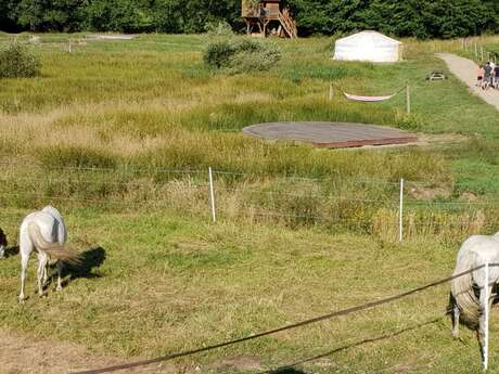 Cabane dans les arbres - Centre UnisVers